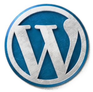 Wordpress Website erstellen lassen 